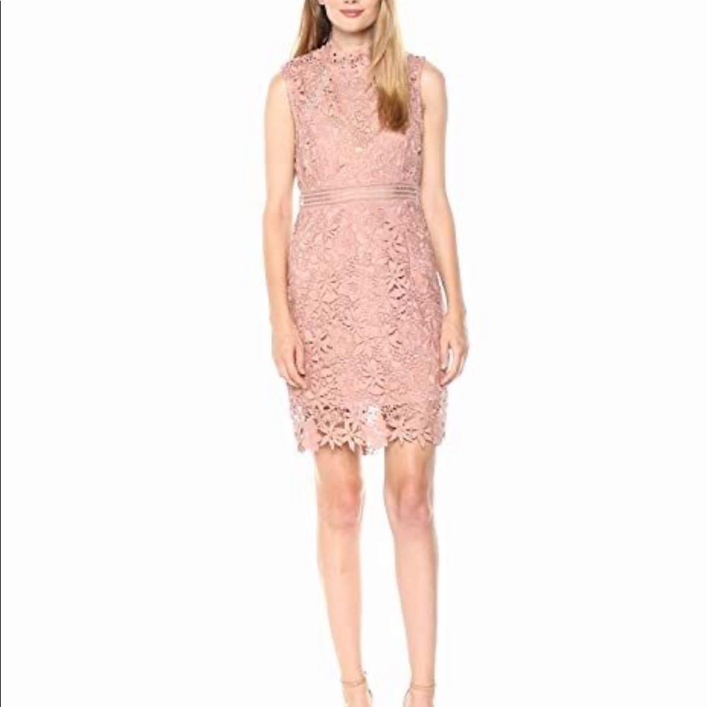 Bardot - Eleni Pink Floral Lace Dress 6